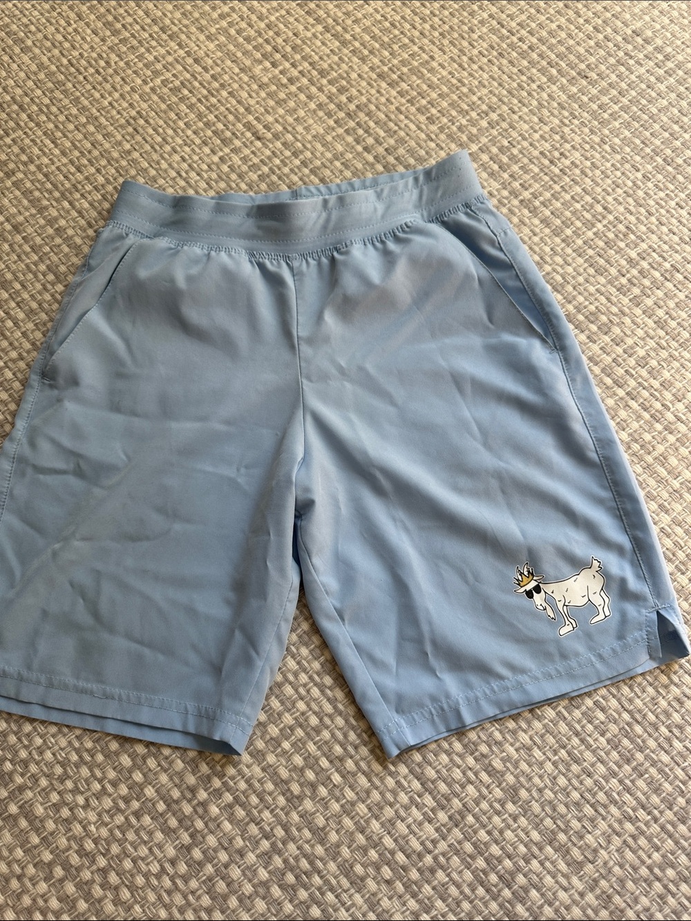 Kids Light Blue Athletic Shorts with Goat Graphic